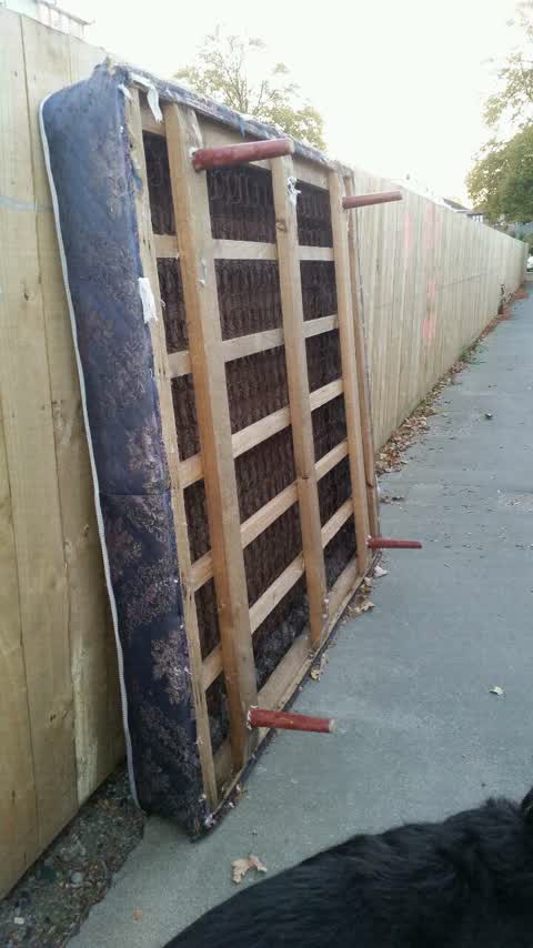 Rubbish/Recycling, a report photo