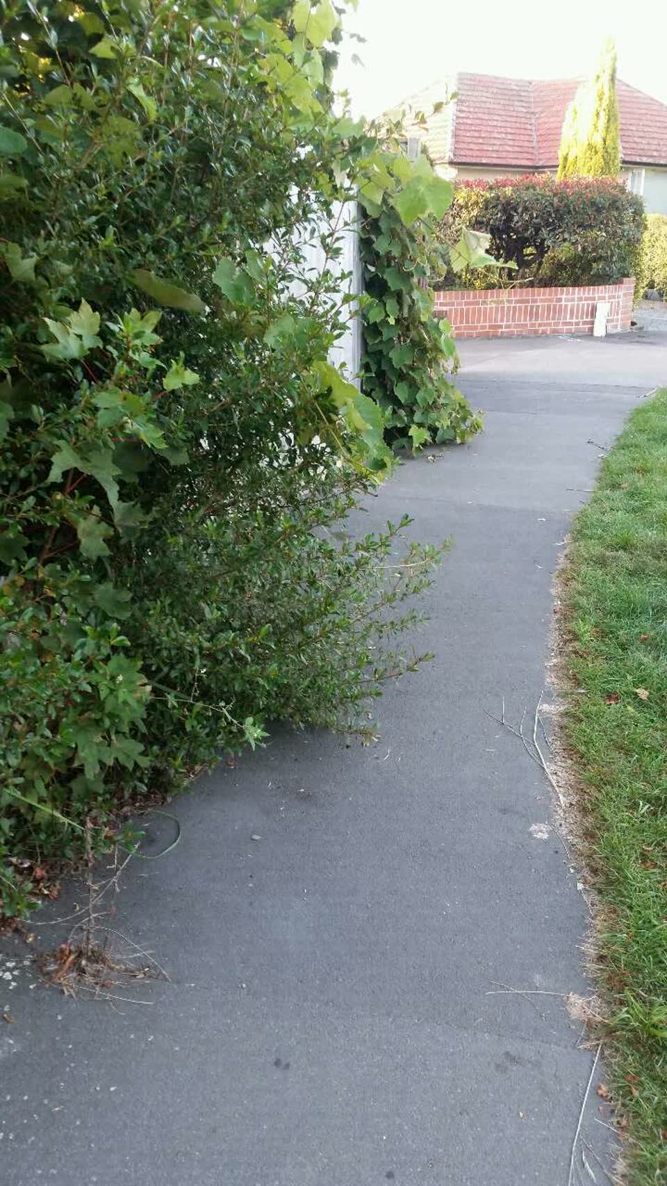 The photograph attached to this roading/streets report