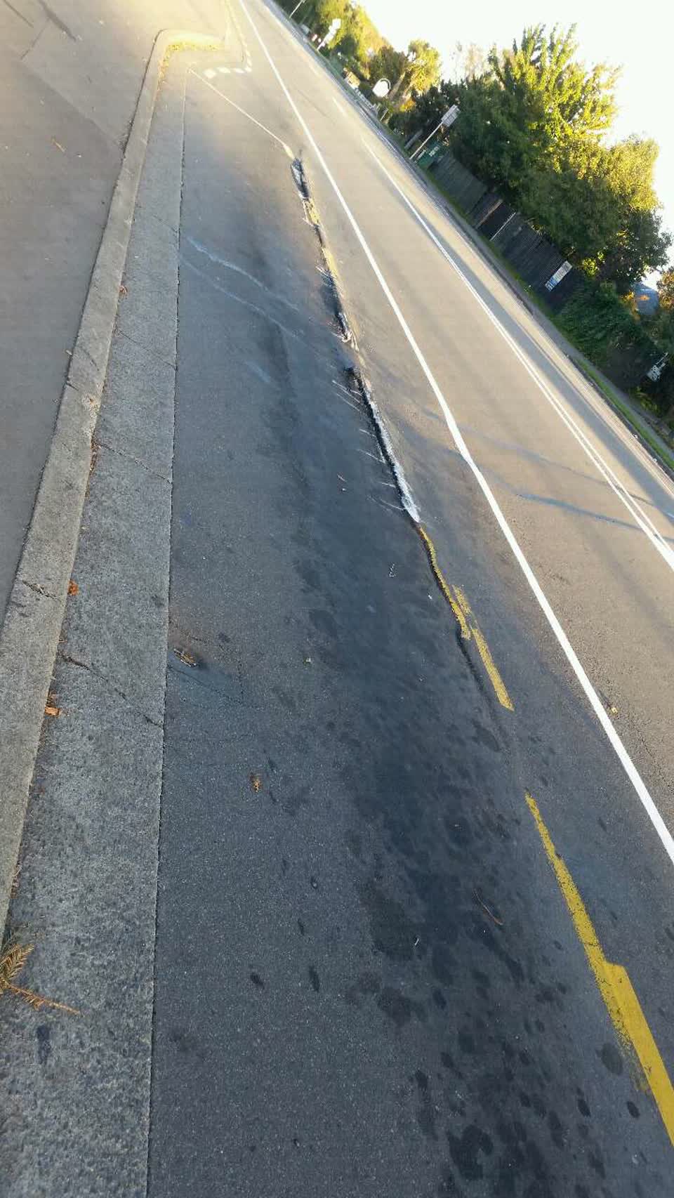 The photograph attached to this roading/streets report