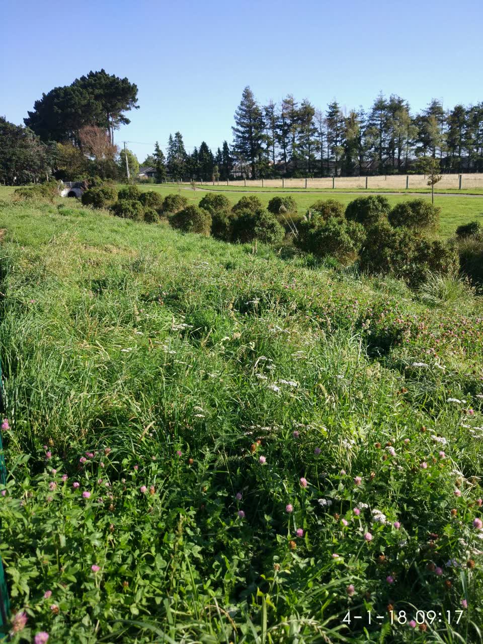 The photograph attached to this parks report