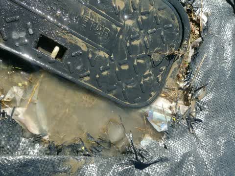 Water Supply, a report photo