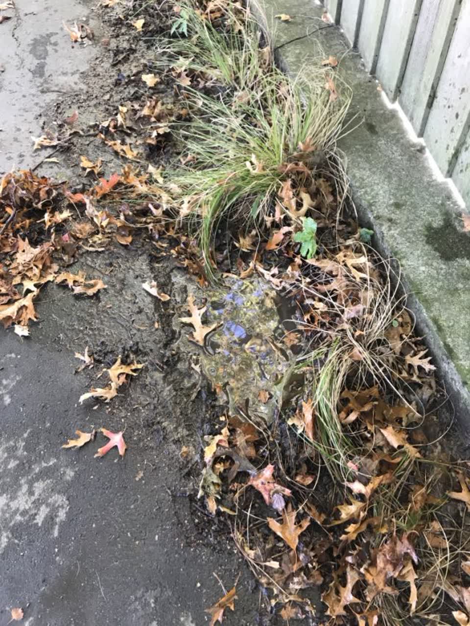 The photograph attached to this wastewater/stormwater report