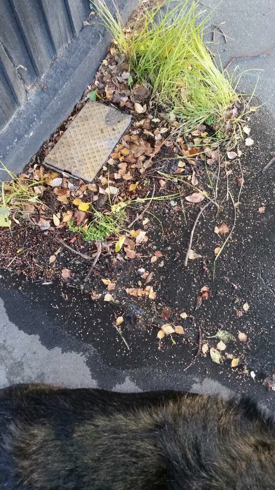 The photograph attached to this water supply report