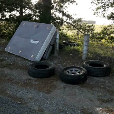 Rubbish/Recycling, a report photo