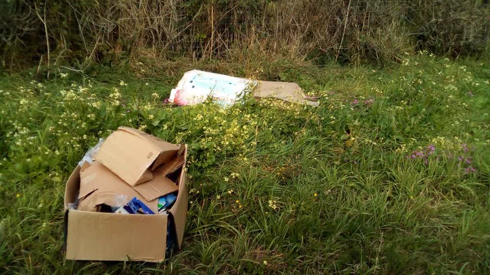 The photograph attached to this rubbish/recycling report