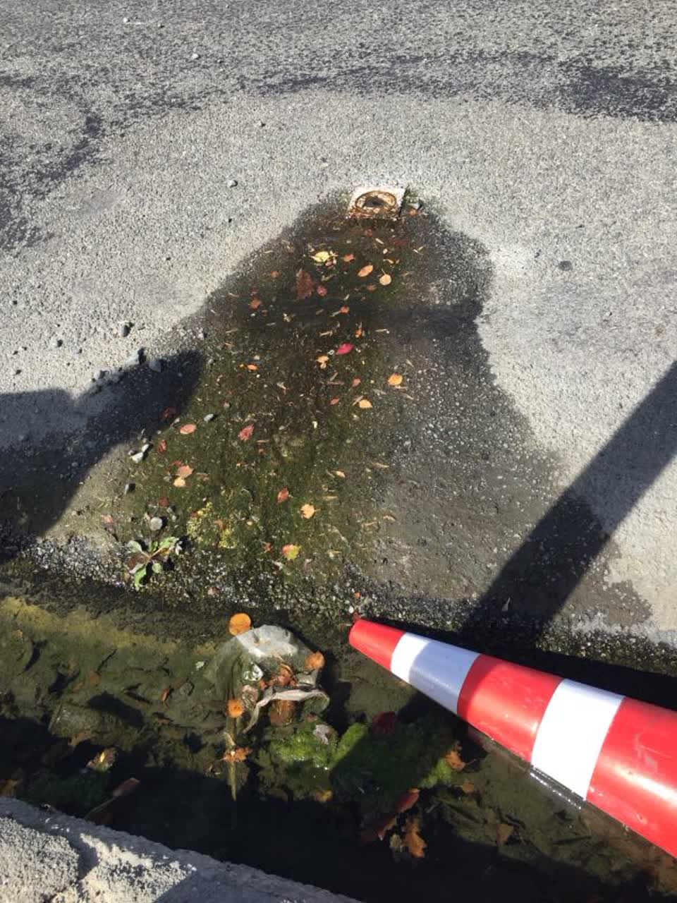 The photograph attached to this water supply report