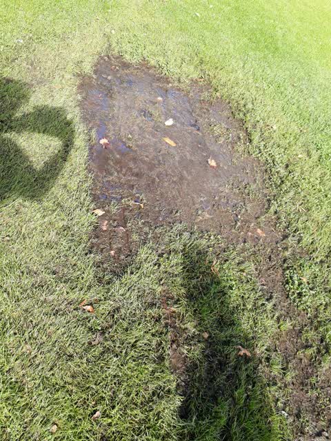 Parks, a report photo