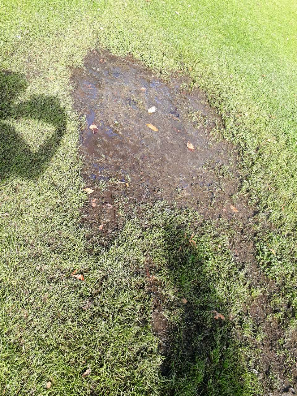 The photograph attached to this parks report