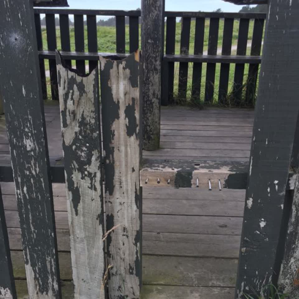The photograph attached to this parks report
