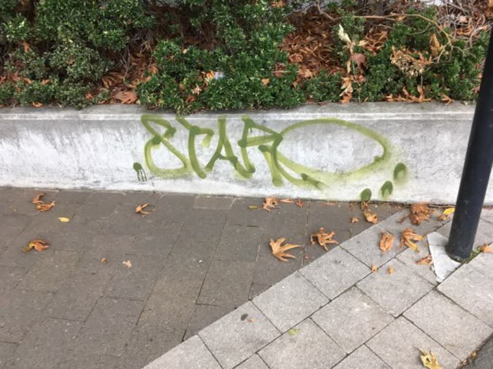 The photograph attached to this graffiti report