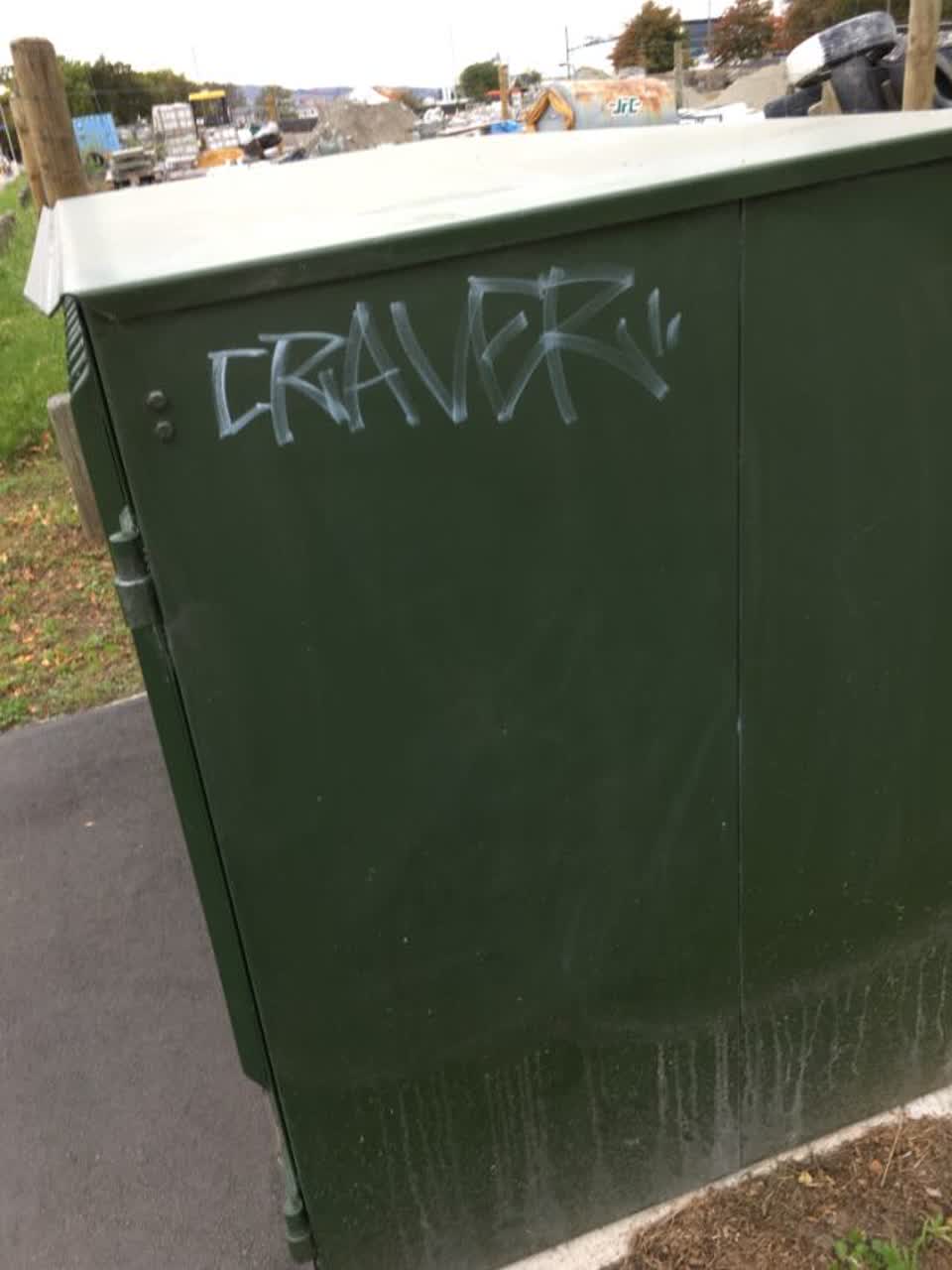 The photograph attached to this graffiti report