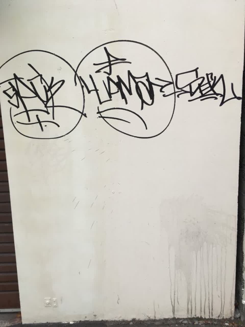 The photograph attached to this graffiti report