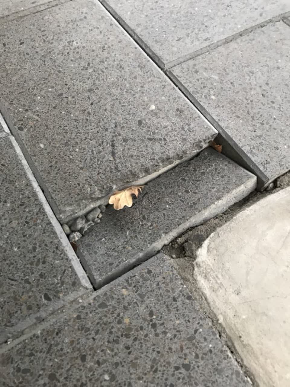 The photograph attached to this roading/streets report