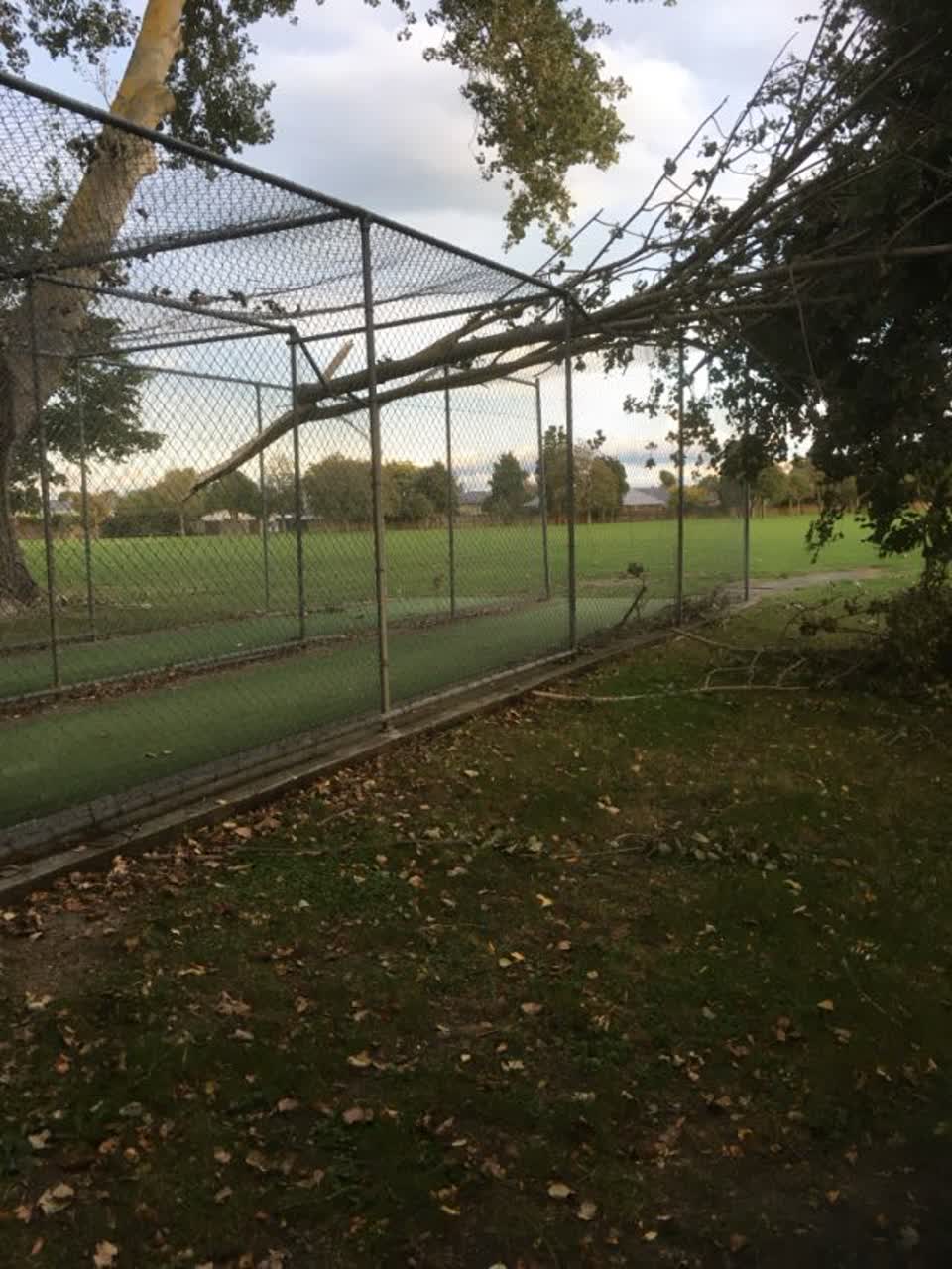 The photograph attached to this parks report