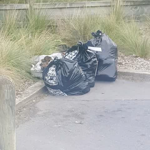 Rubbish/Recycling — a report photo