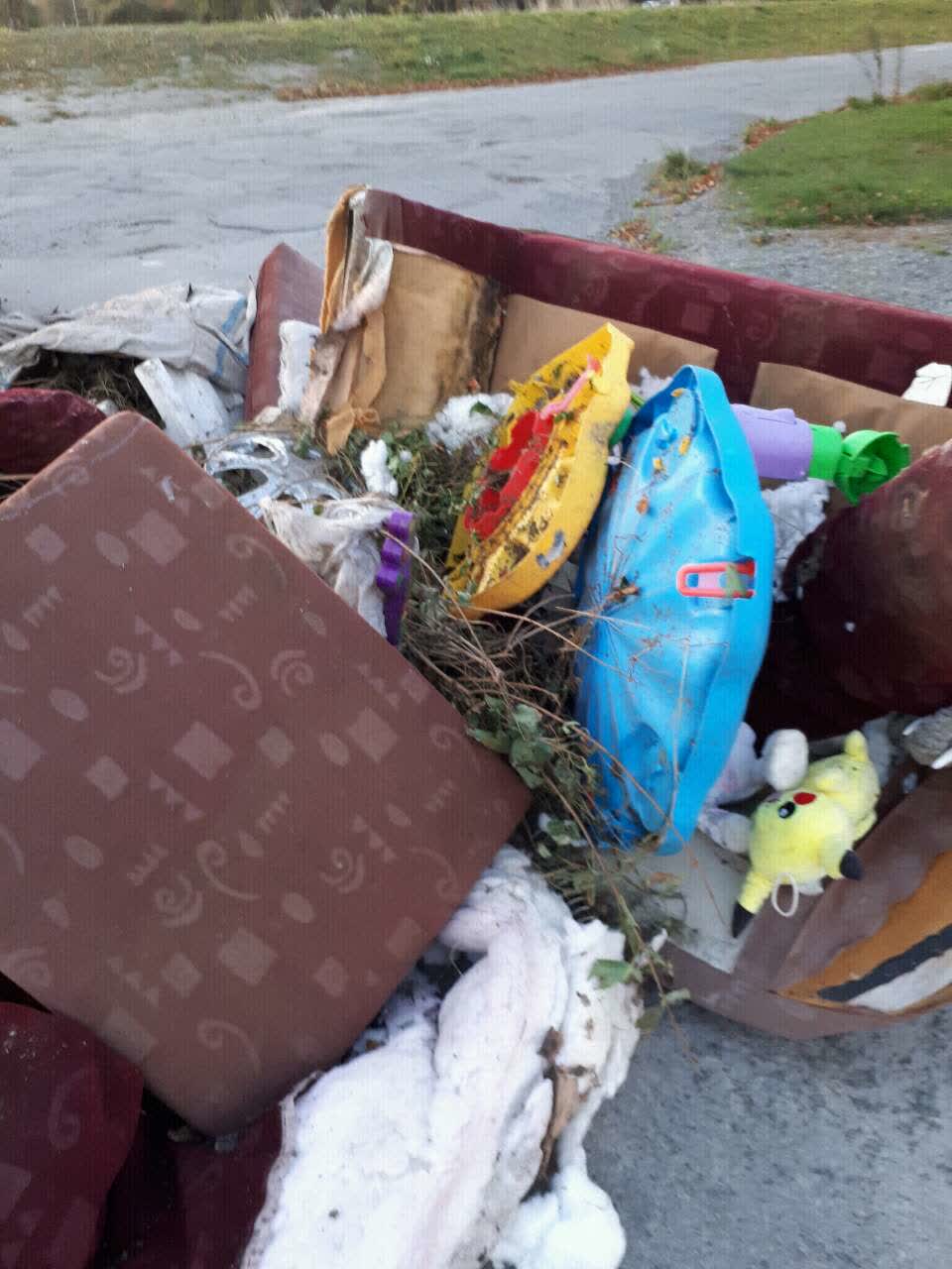The photograph attached to this rubbish/recycling report