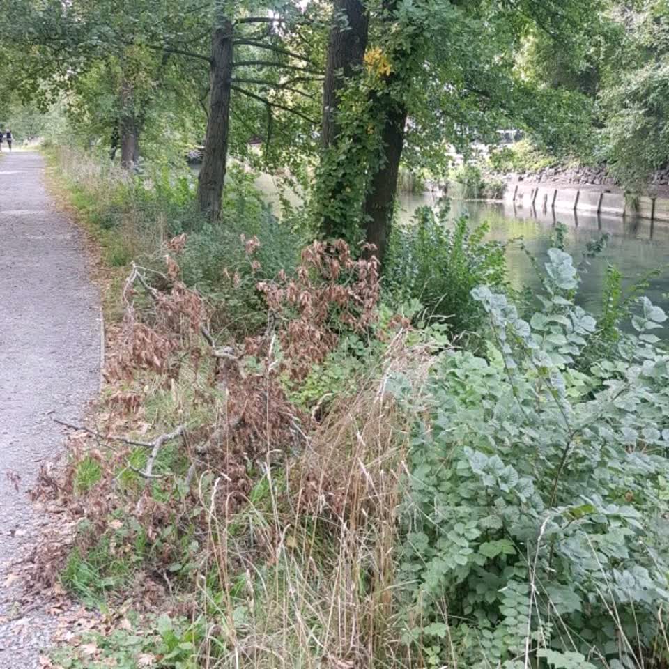 The photograph attached to this parks report