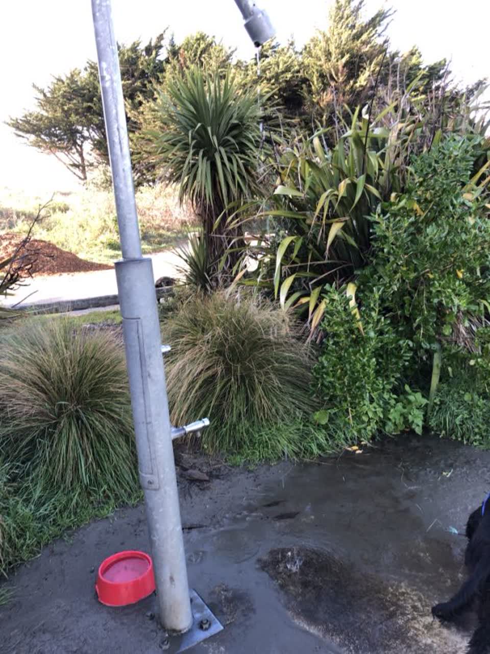 The photograph attached to this parks report