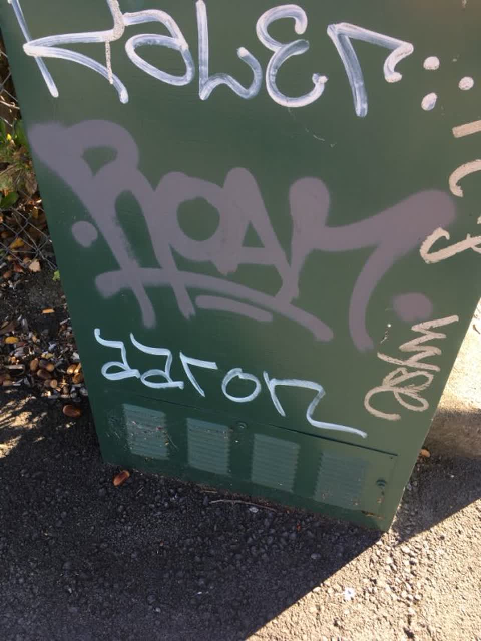 The photograph attached to this graffiti report