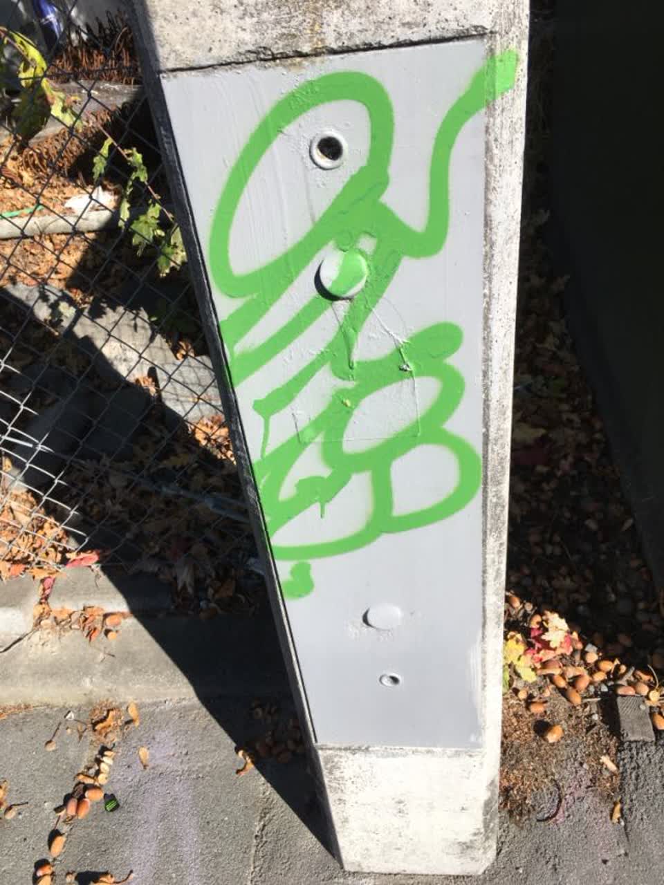 The photograph attached to this graffiti report