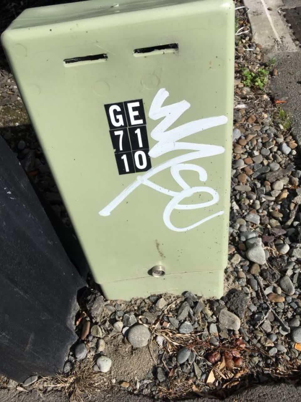 The photograph attached to this graffiti report