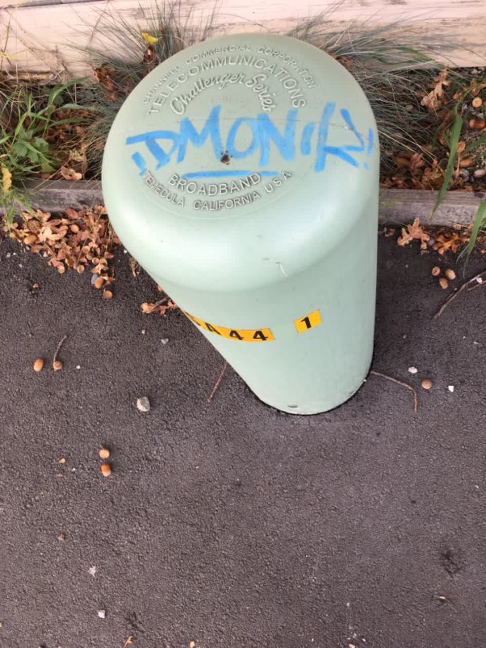 The photograph attached to this graffiti report