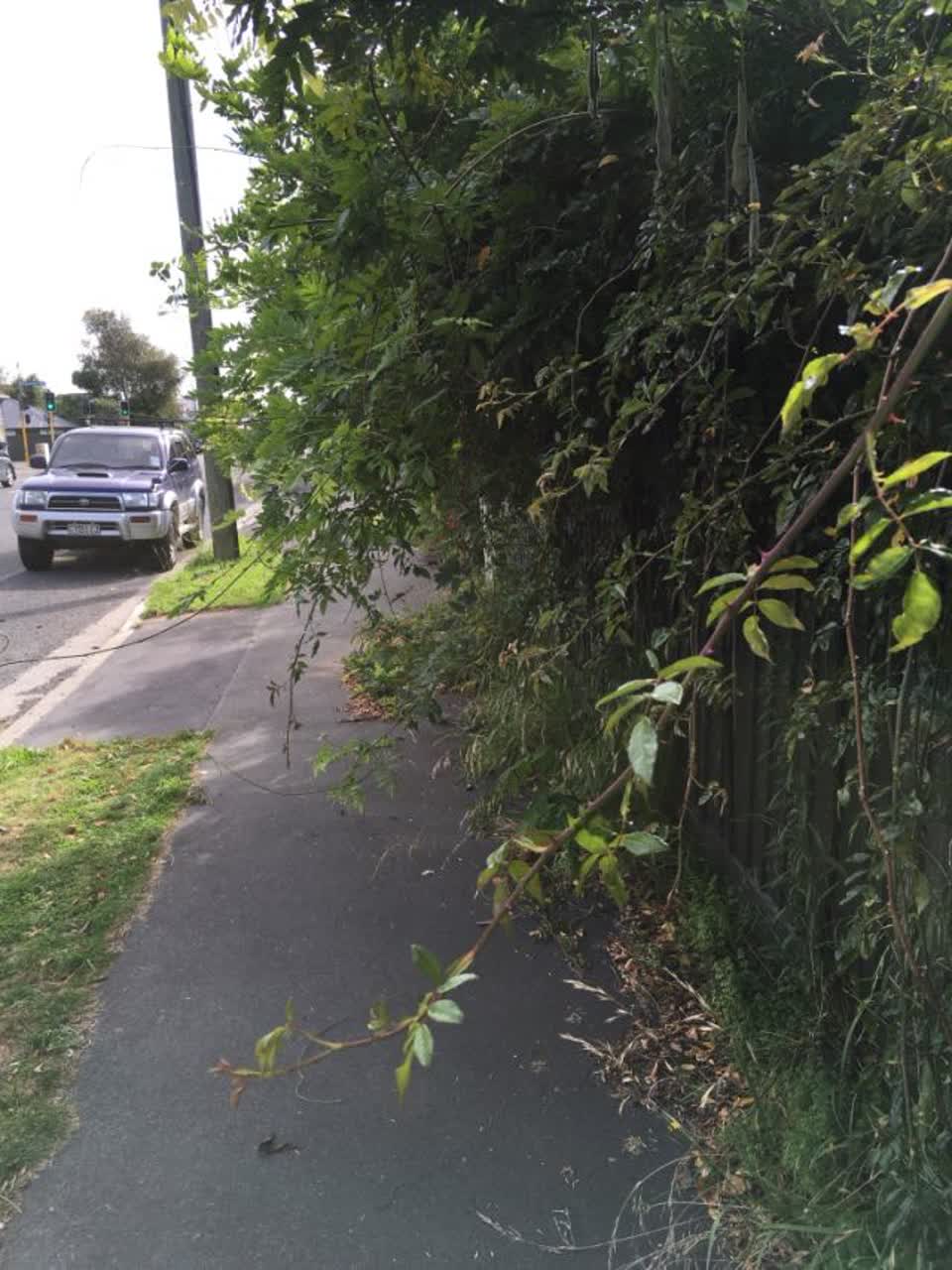The photograph attached to this roading/streets report