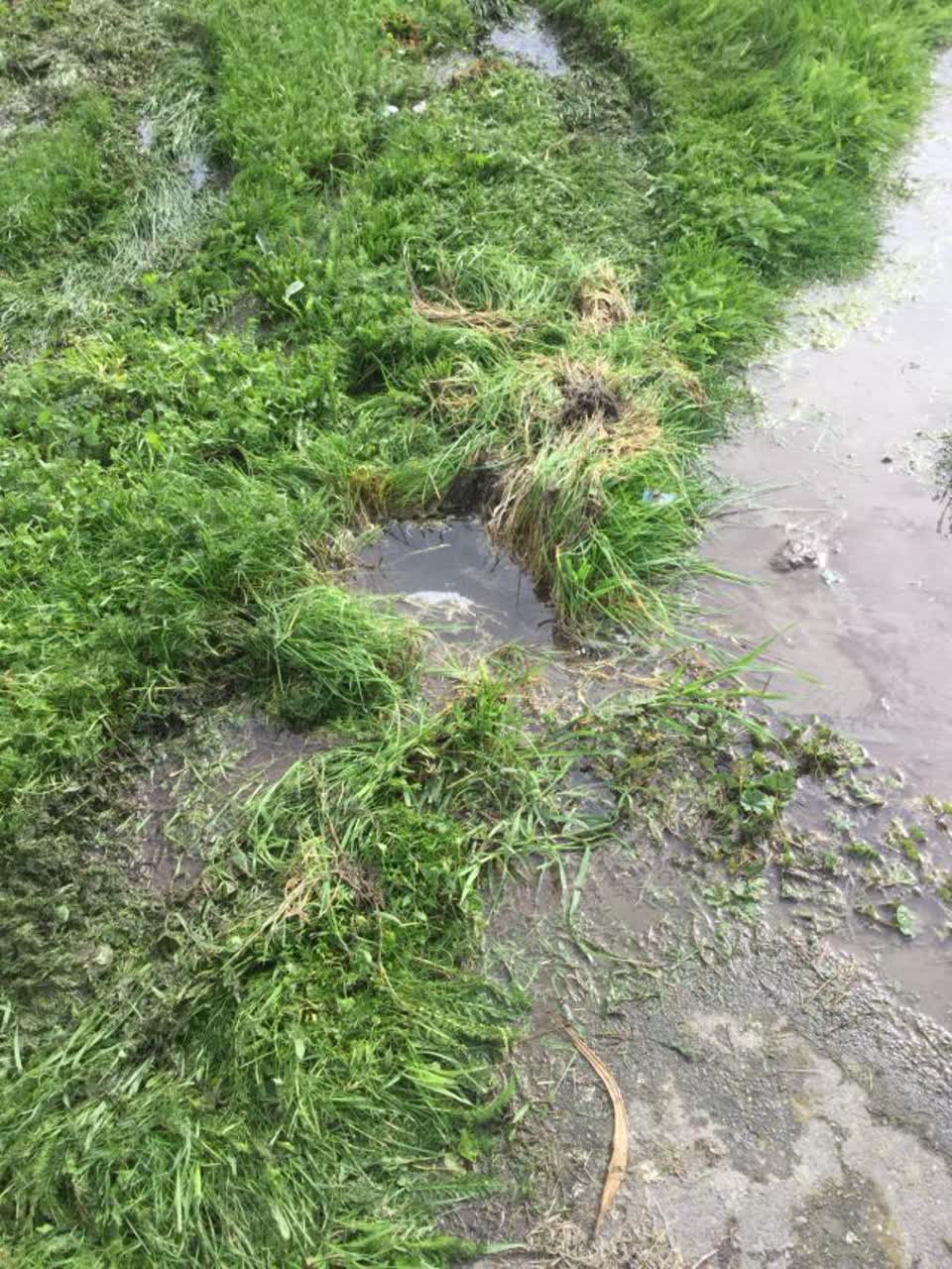The photograph attached to this water supply report