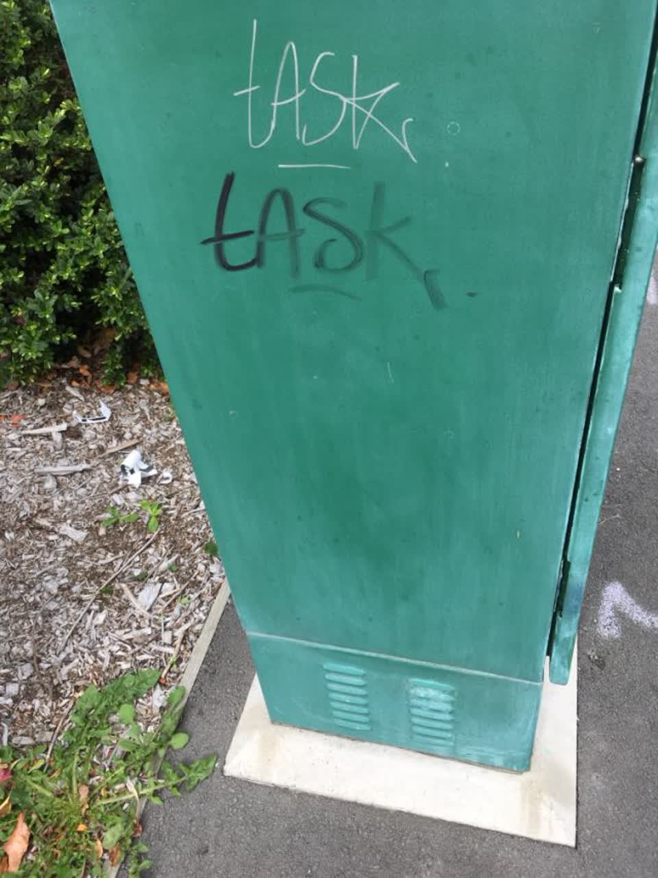 The photograph attached to this graffiti report