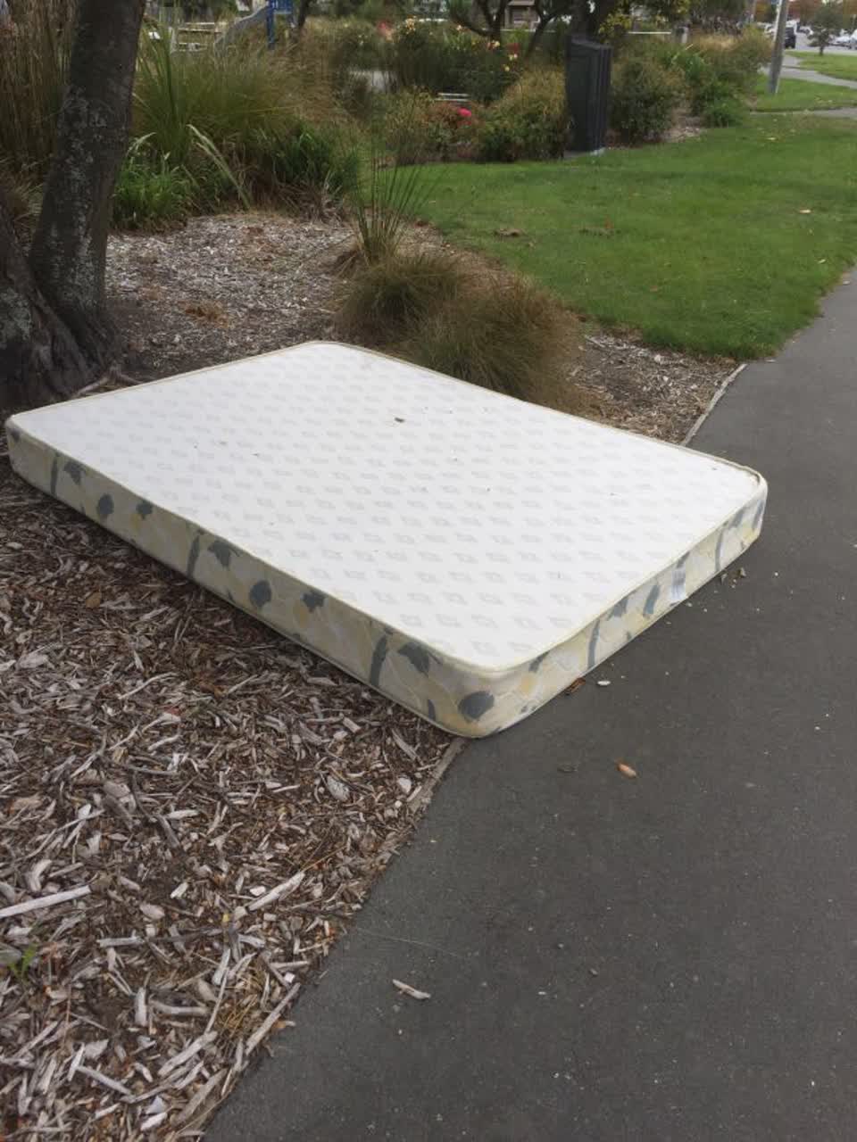 The photograph attached to this parks report