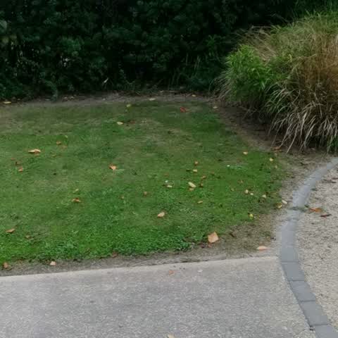 Parks, a report photo
