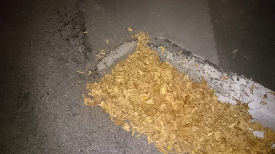 The photograph attached to this wastewater/stormwater report