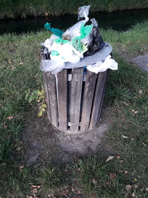 Rubbish/Recycling, a report photo