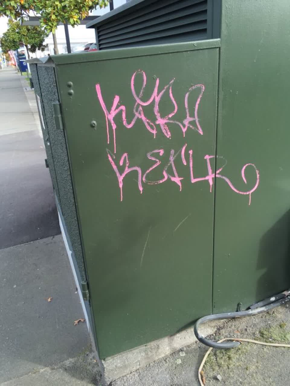 The photograph attached to this graffiti report