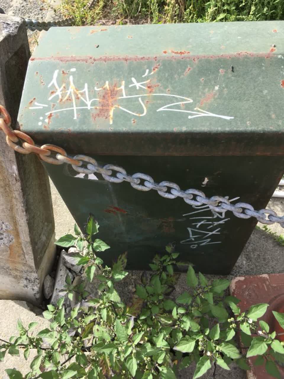 The photograph attached to this graffiti report