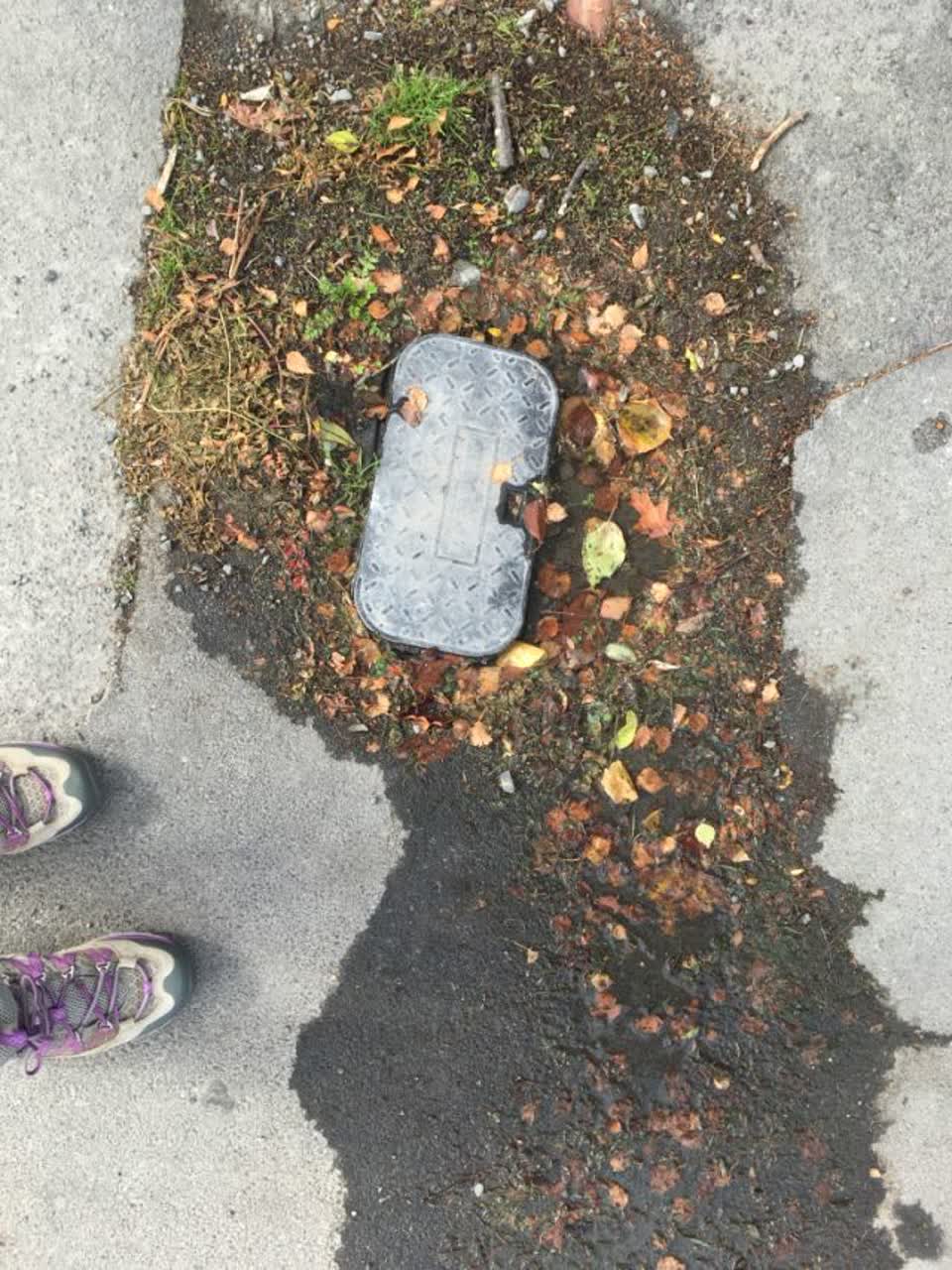 The photograph attached to this wastewater/stormwater report