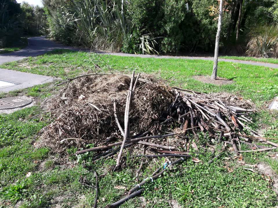 The photograph attached to this parks report