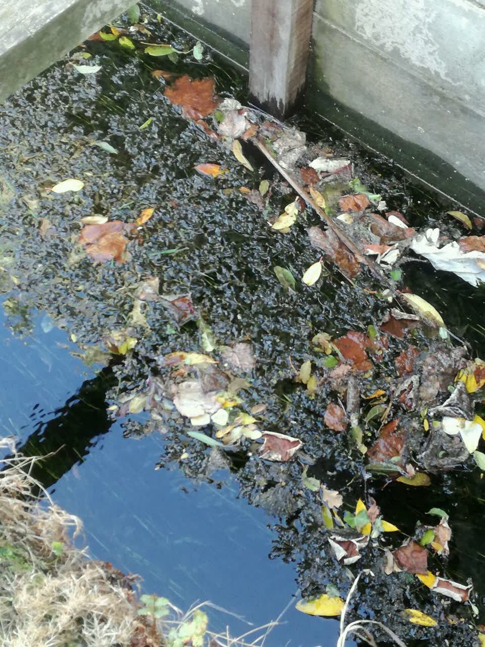 The photograph attached to this wastewater/stormwater report