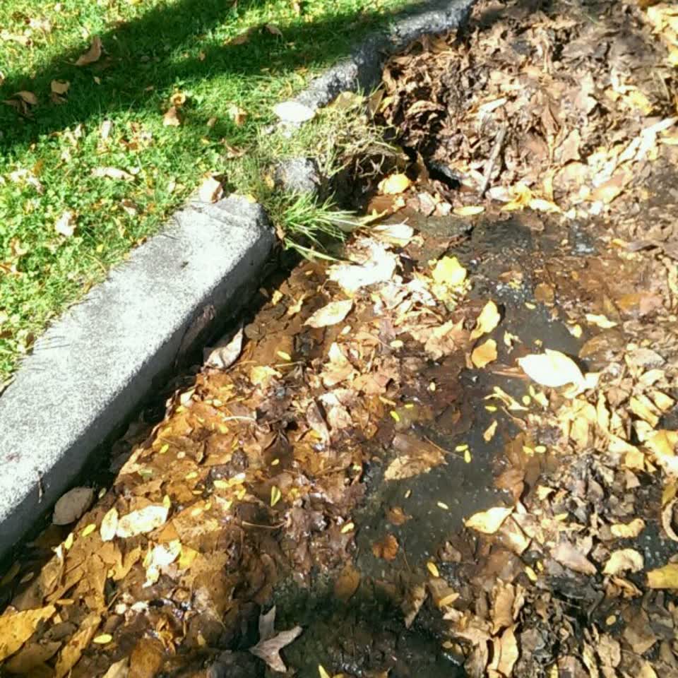 The photograph attached to this wastewater/stormwater report