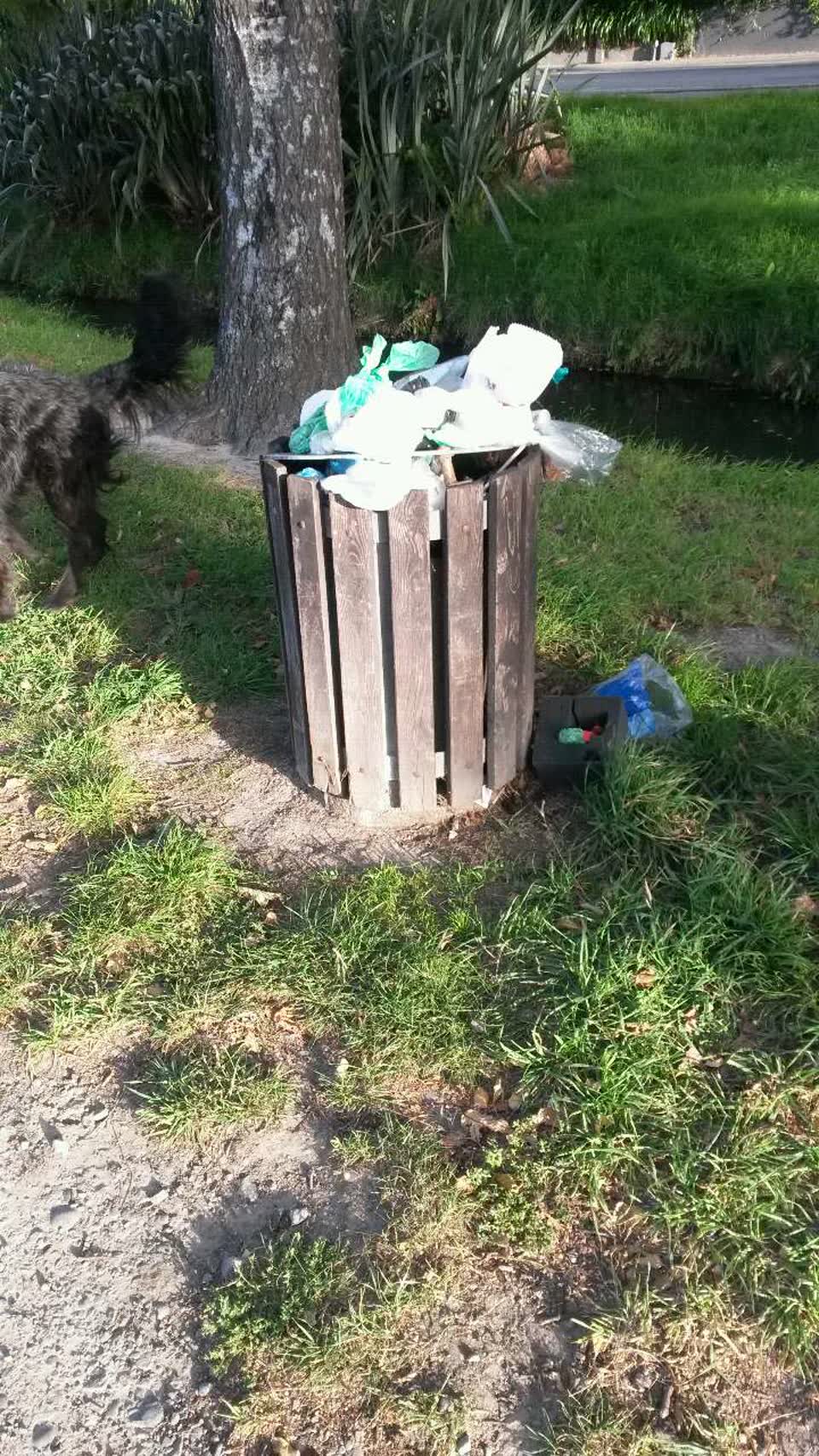 The photograph attached to this rubbish/recycling report