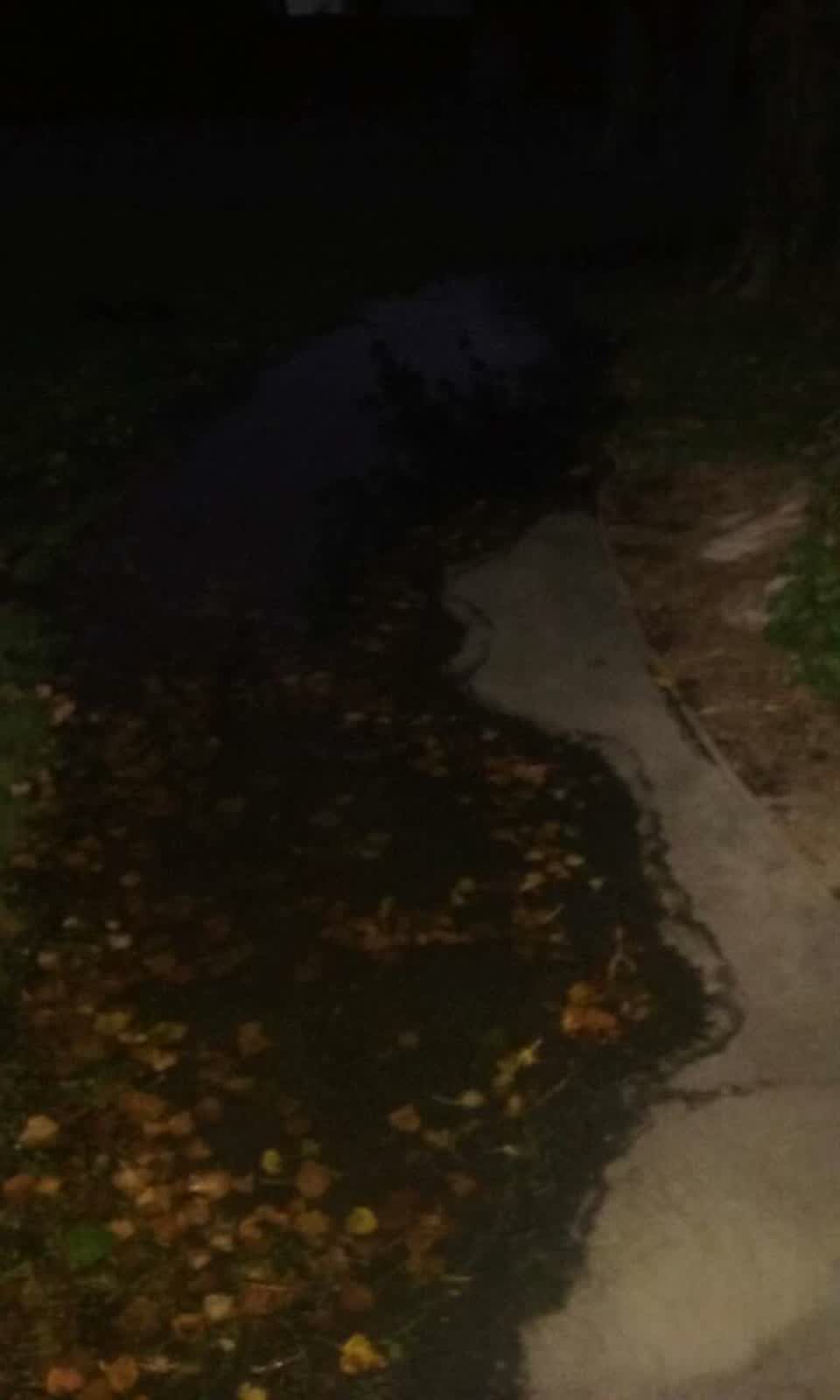The photograph attached to this flooding report