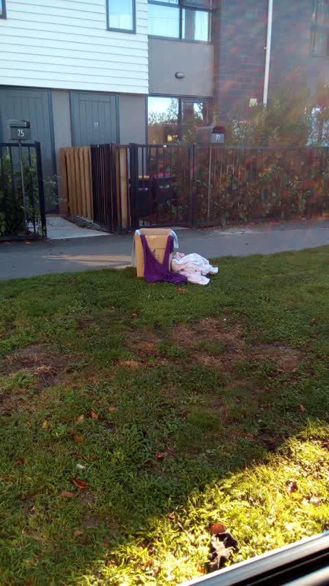 Rubbish/Recycling — a report photo