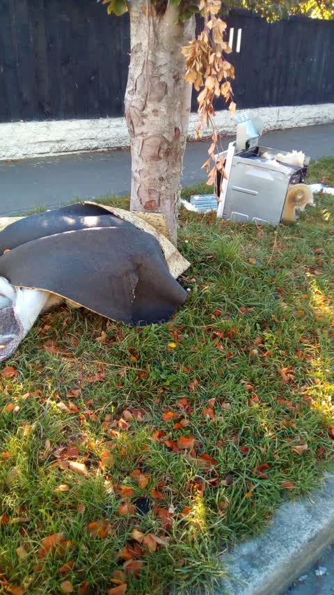 Rubbish/Recycling, a report photo