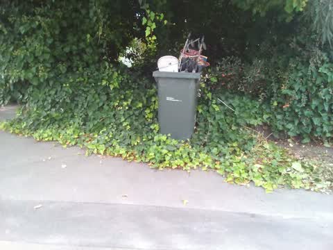 Rubbish/Recycling, a report photo