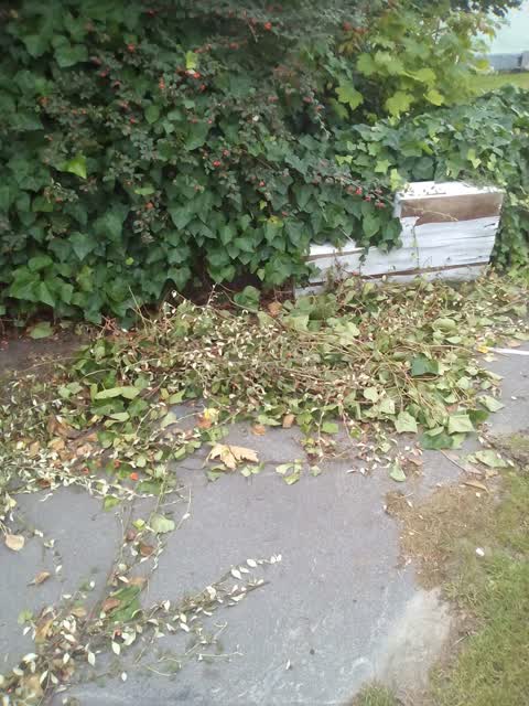Rubbish/Recycling, a report photo