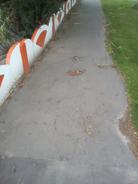 Roading/Streets, a report photo