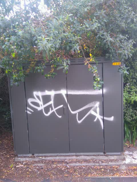Graffiti, a report photo
