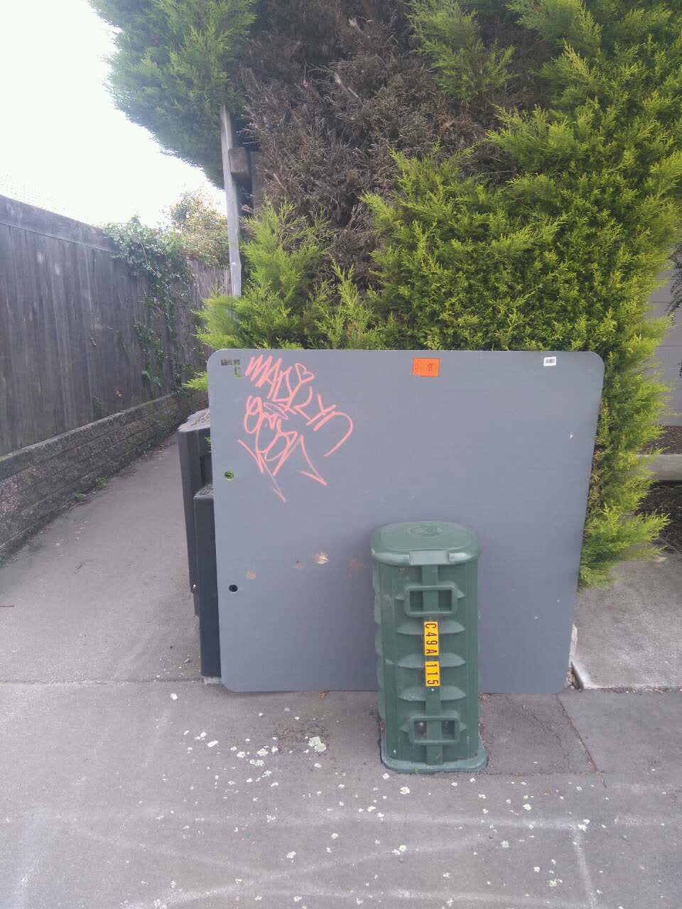 The photograph attached to this graffiti report