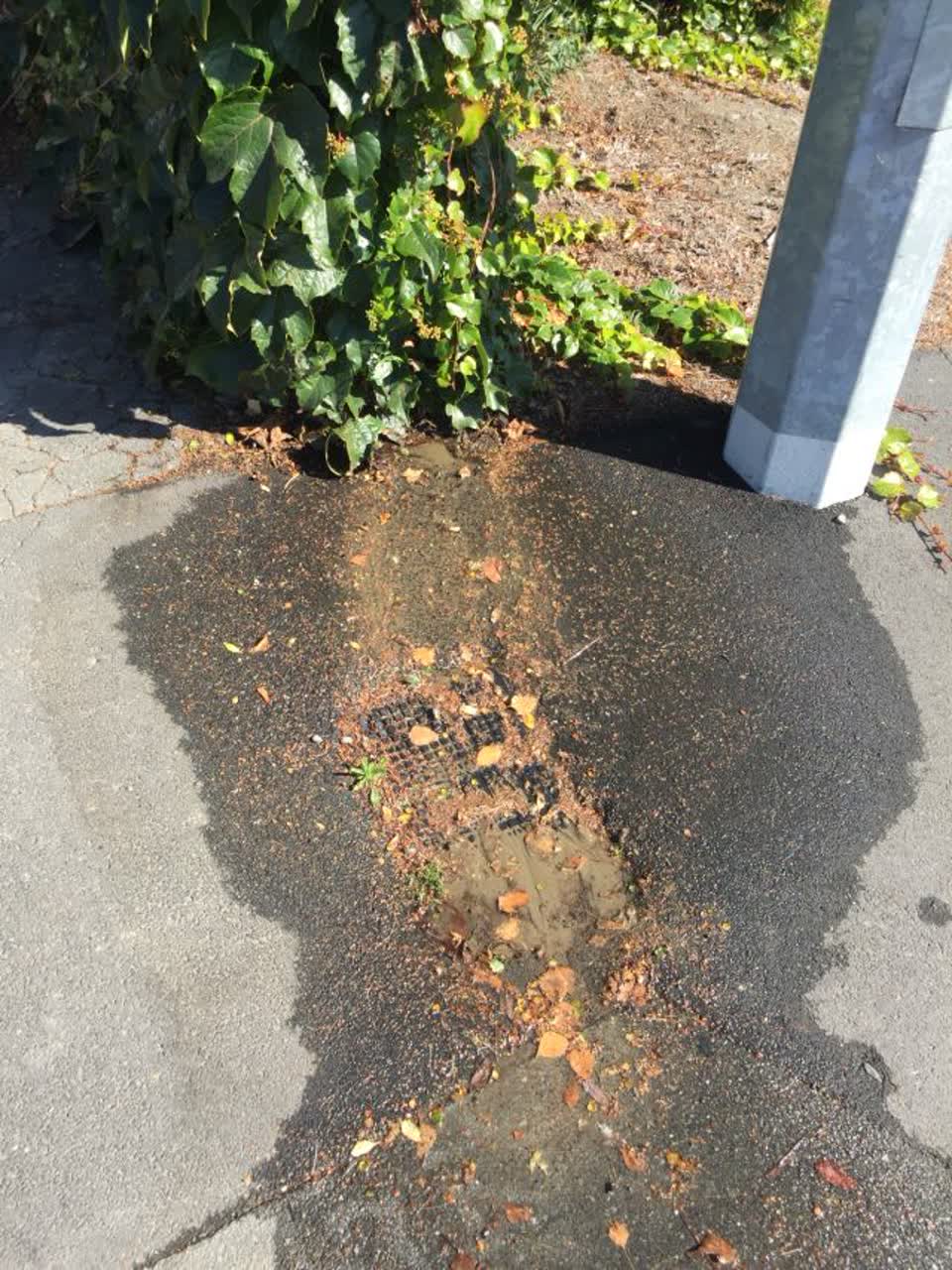 The photograph attached to this flooding report
