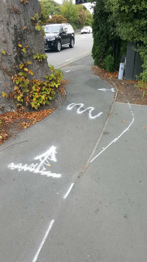 Roading/Streets, a report photo